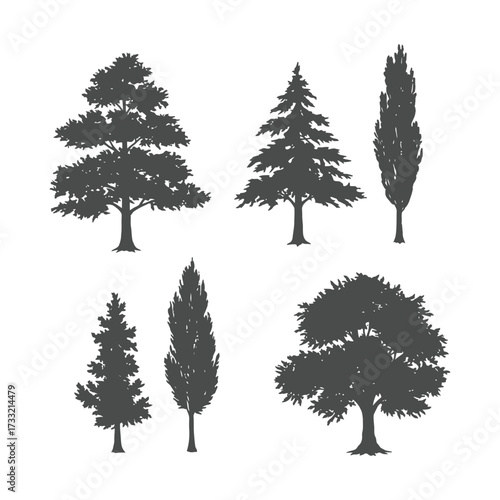 Collection of Diverse Tree Silhouettes Isolated on White Background.