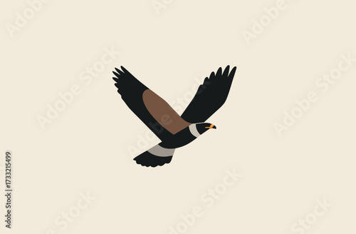Majestic flying bird of prey illustration, soaring raptor in flat design vector art, minimalist wildlife icon