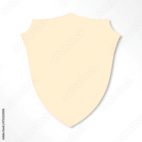 blank shield