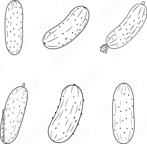 Hand Drawn Cucumber Vegetable Illustration Set in Black and White Outlines