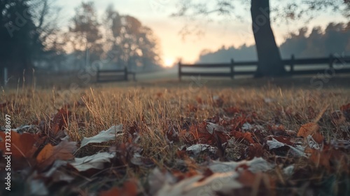 Early morning light illuminating autumn leaves on a rural landscape with a rustic fence