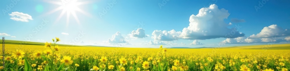 Obraz premium Sun-drenched field, cumulus clouds drift across vibrant blue, element, summer