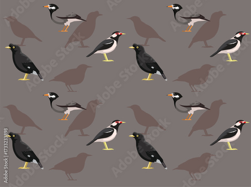 Bird Javan Myna Starling Cartoon Character Seamless Wallpaper Background