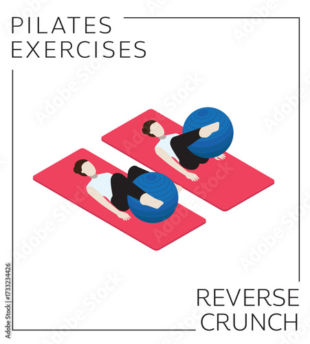 Pilates Ball Reverse Crunch Exercise Pose Vector
