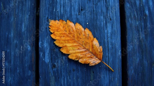 Orange Leaf on Blue Wooden Surface in Autumn Season Nature