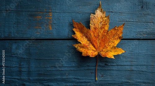 Vibrant Autumn Leaf on Blue Wooden Background for Nature Lovers