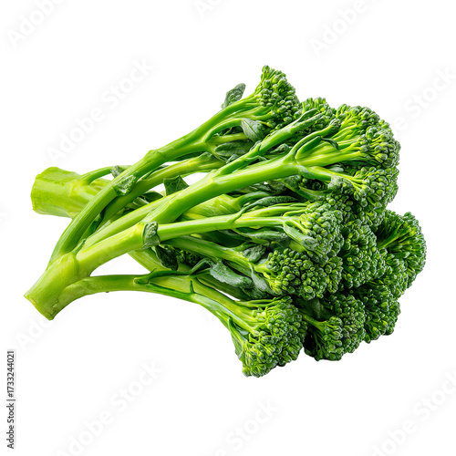 Fresh green broccoli florets (10)