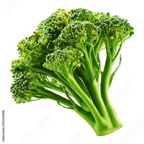 Close-up of fresh broccoli head
