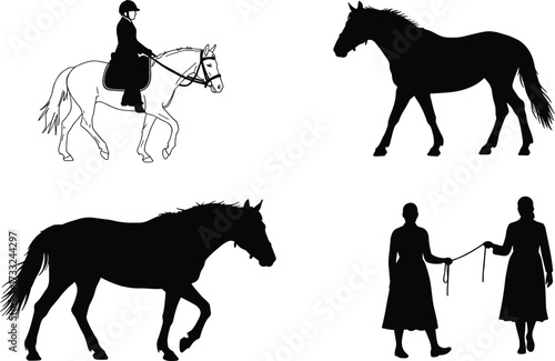 Silhouette of horses with rider, walking horse, people training horse, equestrian activity, countryside lifestyle, animal care, farm life, rural backgroundSilhouette of horses with rider, walking 
