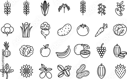 Agriculture, crop, fruit, vegetable, plant, farming, harvest, icon set, black, silhouette, botanical, organic, food, nature, editable, vector, grid, outline, pictogram, commercial