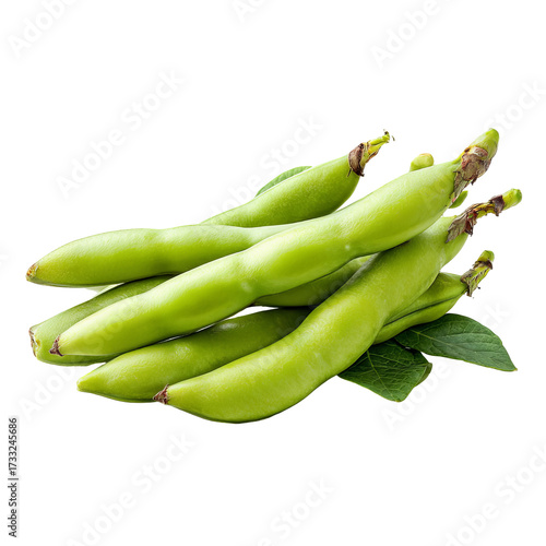 Fresh green broad beans clustered (2)