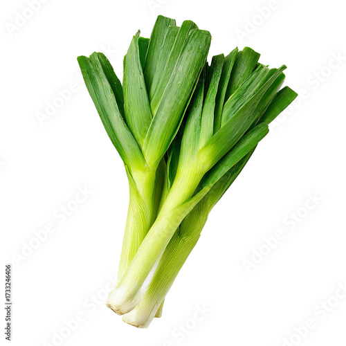 Fresh leeks, vibrant green leaves, pale stalks