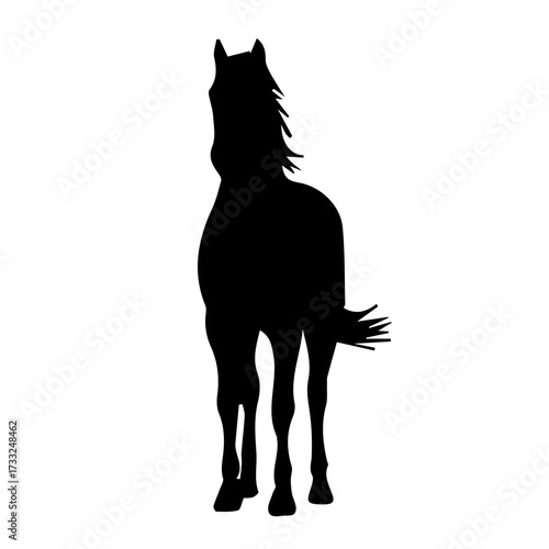 Black Horse Front View Silhouette Illustration