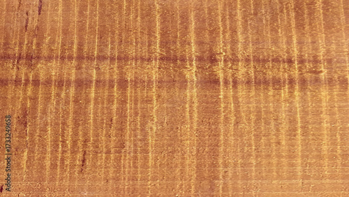 Texture of wooden surface. Close-up of processed wood. 