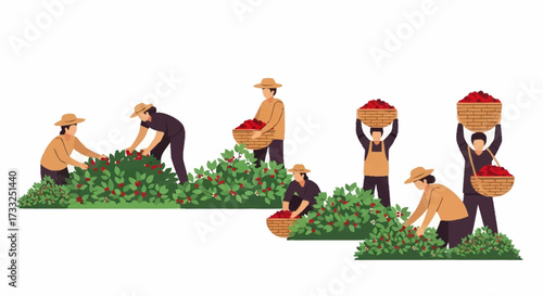 Farmers diligently harvest bountiful red berries from lush bushes, carrying full baskets of the fresh produce, celebrating nature's abundance and agricultural work.