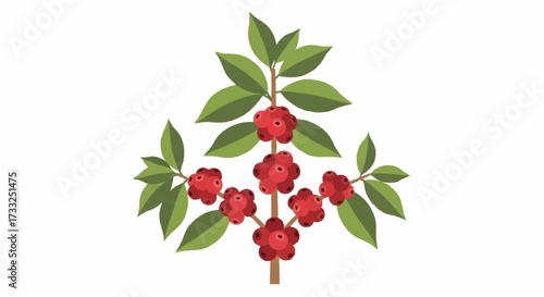 Vibrant coffee plant branch with ripe red berries and lush green leaves, perfect for beverage marketing and botanical illustrations
