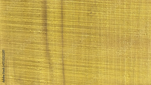 Wooden background. Wood Texture Background. Brown wood texture background coming from natural tree. The wooden panel has a beautiful pattern. Wooden textures, background, wood texture seamless. 