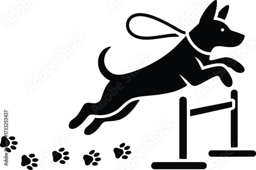 Agile dog leaping over hurdle in agility training competition