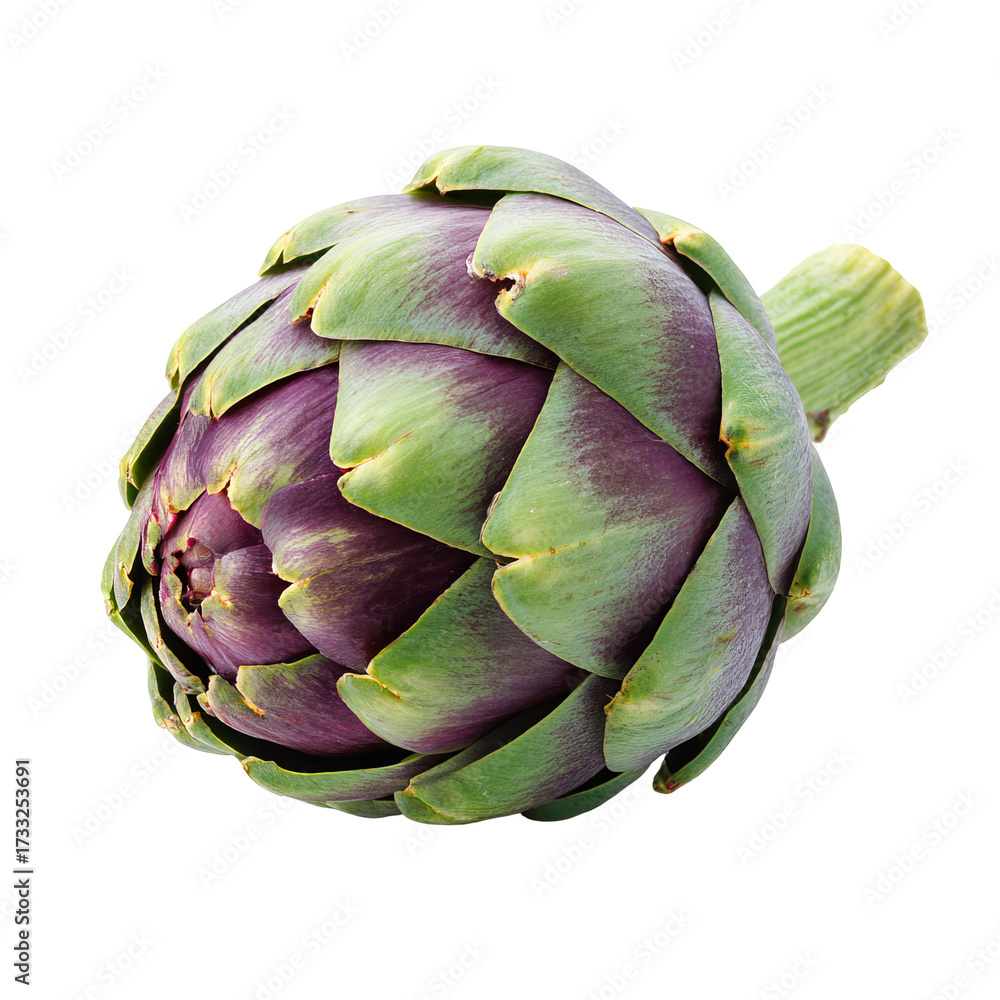 Obraz premium Close-up of a vibrant artichoke head