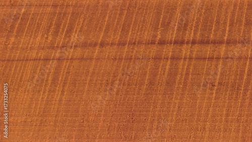 Wooden background. Wood Texture Background. Brown wood texture background coming from natural tree. The wooden panel has a beautiful pattern. Wooden textures, background, wood texture seamless. 
