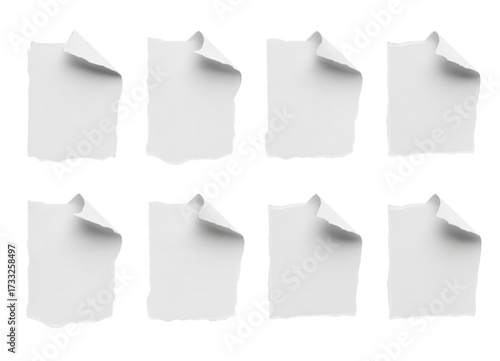 Wallpaper Mural Dynamic collection of torn paper sheet elements, perfect for adding a touch of authentic texture to your designs, scrapbooking, and creative projects, conveying a sense of rawness Torontodigital.ca