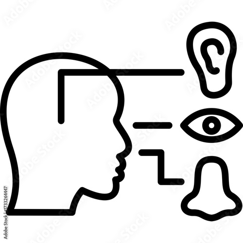 Sensory Development line icon