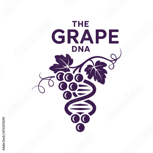 Grape DNA logo, stylized vine spiral forming helix, research and cultivation idea, artisanal vineyard branding, creative vector