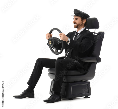 Handsome chauffeur with ste...