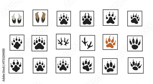 Collection of various animal footprints and paw prints set.