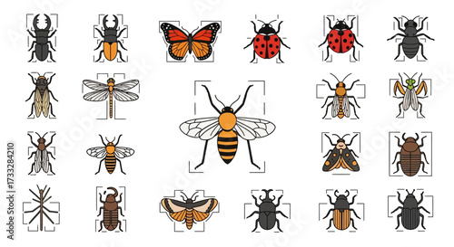 Collection of various insect illustrations.