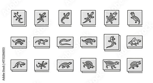 Set of Hand Drawn Reptile and Amphibian Icons.