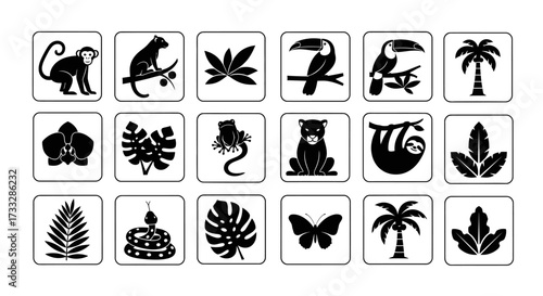 Set of tropical jungle animal and plant silhouette icons.