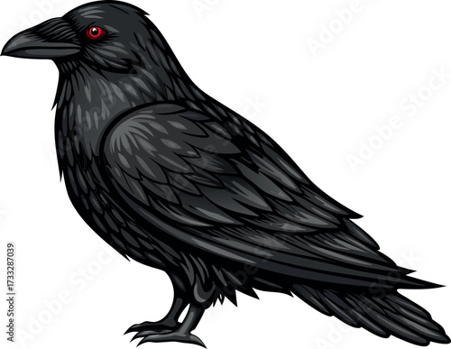 Crow and Raven Illustration on White Background with Black Feathers and Wings