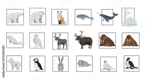 Arctic Animals Collection.