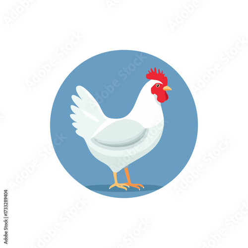 Illustration of a white chicken with a red comb standing against a solid blue circular background.