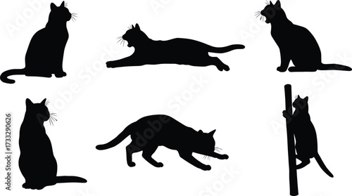 Cat silhouette sitting, lying, stalking, climbing, meowing, black pet icon, feline pose, cad drawing flat vector illustration