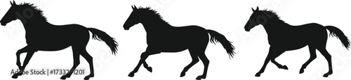 Horse silhouette running, galloping, trotting, black animal icon, dynamic motion pose, cad drawing flat vector illustration for stock design