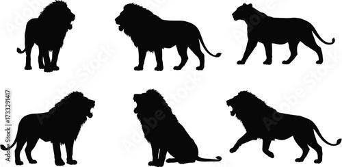Lion and lioness silhouette vector set, wild animal poses, walking, sitting, standing, black flat cad drawing illustration artwork