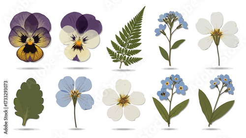 A collection of ten pressed flowers and leaves, including pansies, forget-me-nots, and a fern frond, arranged on a white background.