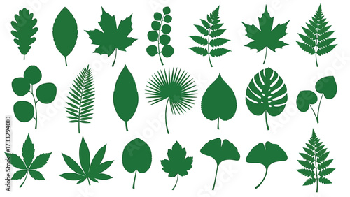 A collection of various green leaf silhouettes, showcasing diverse shapes and patterns of foliage.