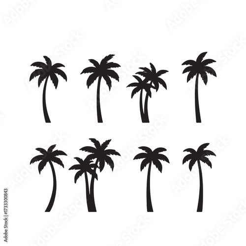 Palm Tree Silhouette Vector