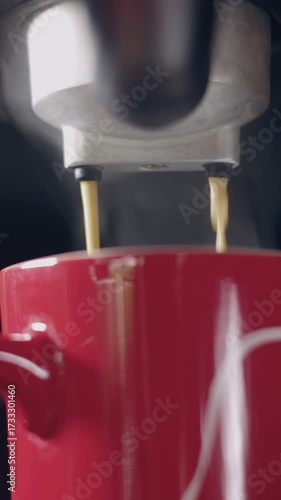 Pouring coffee stream from machine in cup. Home making hot Espresso. Using filter holder. Flowing fresh ground coffee. Drinking roasted black coffee in the morning. Home made. 4k b-roll.