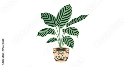 A vibrant green houseplant with striking striped leaves sits elegantly in a decorative patterned pot.
