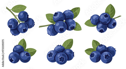 Fresh blueberries are healthy and delicious packed with antioxidants and vitamins.