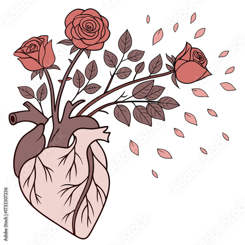 Anatomical heart with blooming roses and falling petals symbolizing love growth and emotional release