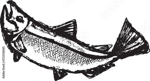 ジャンプする墨絵の鮭のイラスト挿絵
