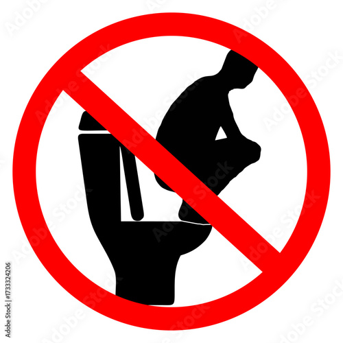 No Squatting on the Toilet Seat