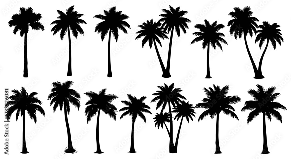 Fototapeta premium A diverse collection of fourteen black palm tree silhouettes, isolated on a white background for design use.