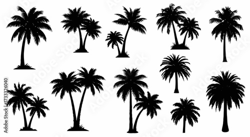 Silhouetted palm trees of various sizes and shapes against a white background.