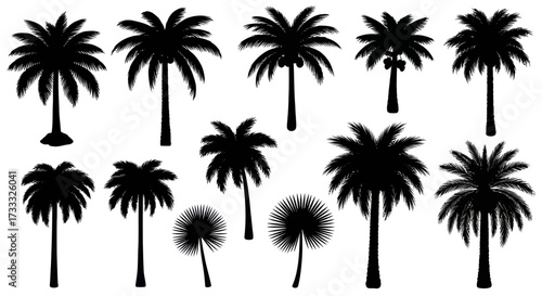 Silhouettes of various palm trees on a white background.